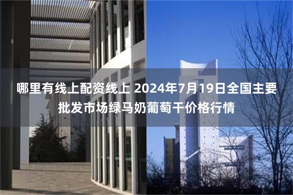 哪里有线上配资线上 2024年7月19日全国主要批发市场绿马奶葡萄干价格行情