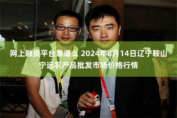 网上融资平台靠谱么 2024年8月14日辽宁鞍山宁远农产品批发市场价格行情