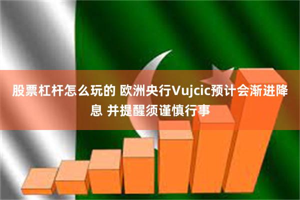 股票杠杆怎么玩的 欧洲央行Vujcic预计会渐进降息 并提醒须谨慎行事