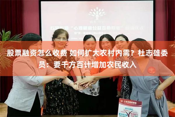 股票融资怎么收费 如何扩大农村内需？杜志雄委员：要千方百计增加农民收入