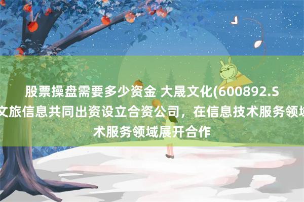股票操盘需要多少资金 大晟文化(600892.SH)：拟与文旅信息共同出资设立合资公司，在信息技术服务领域展开合作