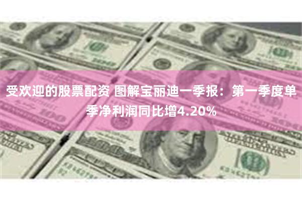 受欢迎的股票配资 图解宝丽迪一季报：第一季度单季净利润同比增4.20%
