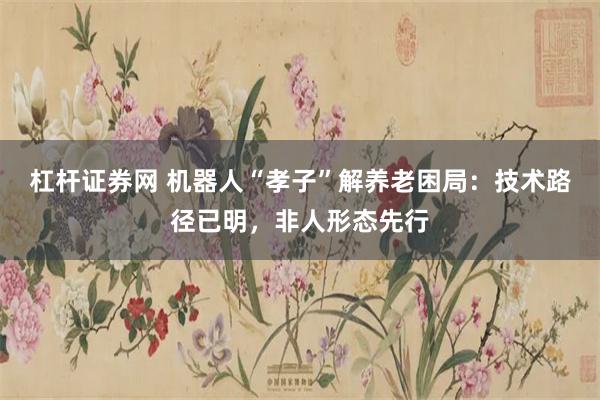 杠杆证券网 机器人“孝子”解养老困局：技术路径已明，非人形态先行