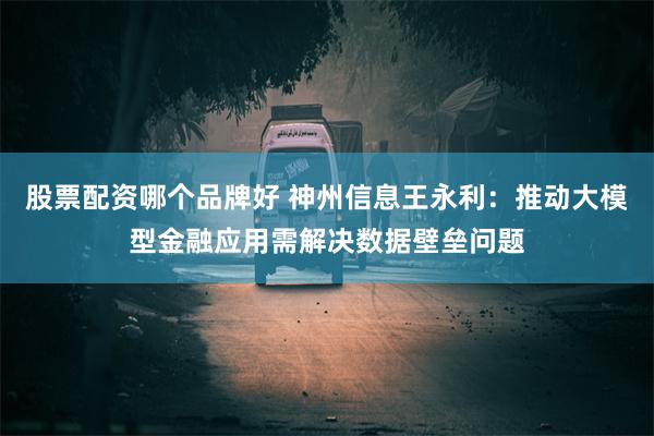 股票配资哪个品牌好 神州信息王永利：推动大模型金融应用需解决数据壁垒问题