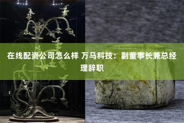 在线配资公司怎么样 万马科技：副董事长兼总经理辞职