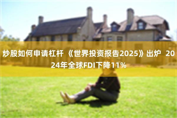 炒股如何申请杠杆 《世界投资报告2025》出炉  2024年全球FDI下降11%