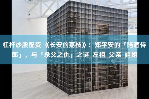 杠杆炒股配资 《长安的荔枝》：郑平安的「陪酒侍郎」，与「杀父之仇」之谜_左相_父亲_姐姐